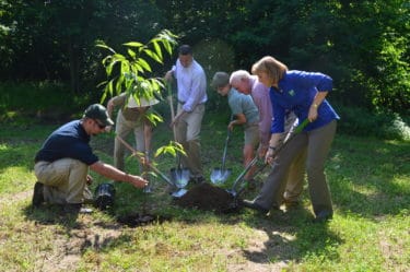 A group of people plant a tree outdoors. 