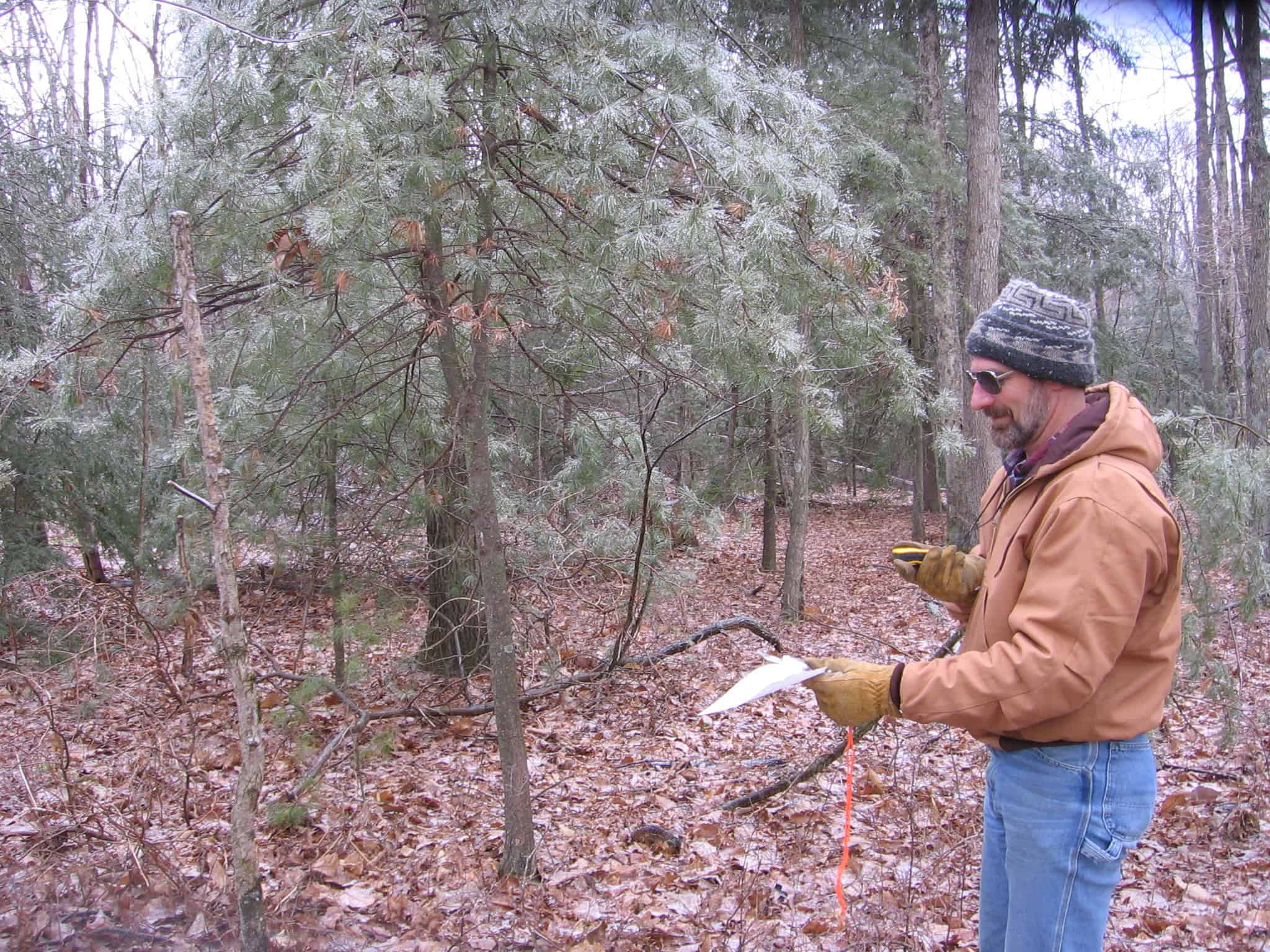 TIm Burris monitoring a conservation easement in the woods
