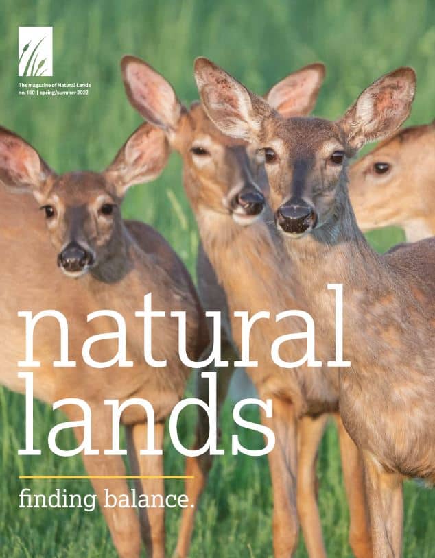 cover of Natural Lands spring/summer 2022 magazine