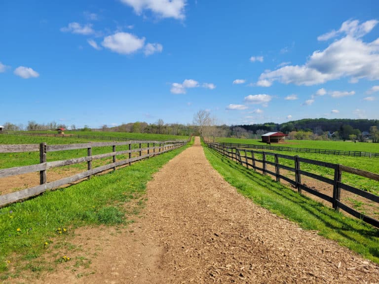 A dirt road with a fence on both sides runs through a green landscape under a blue sky.