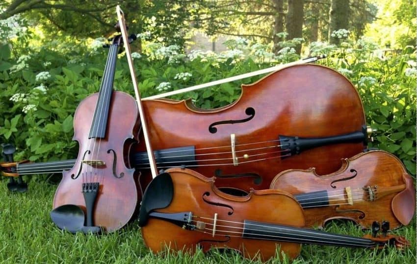 string instruments in a garden