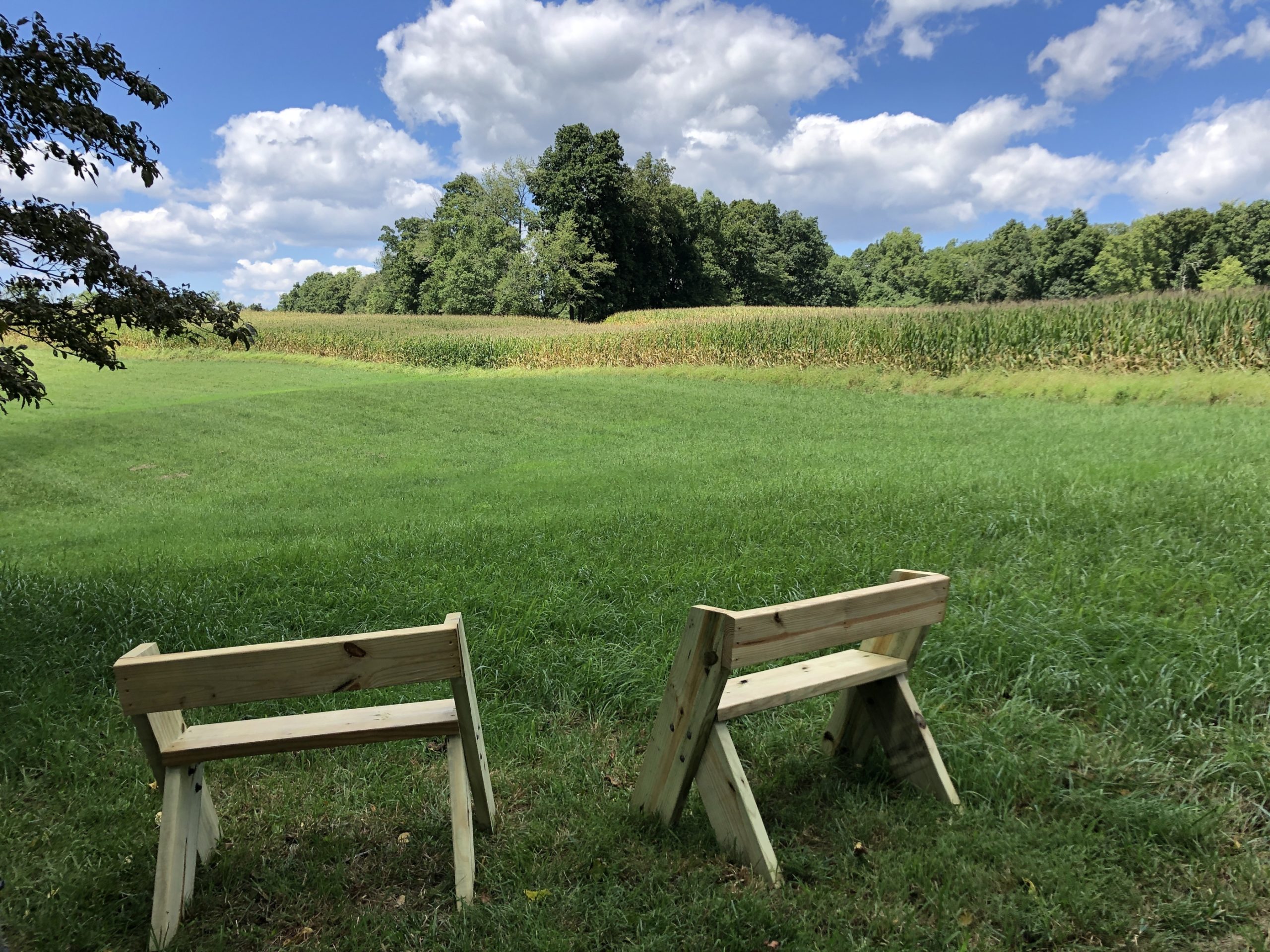 Two chairs facing out over fields