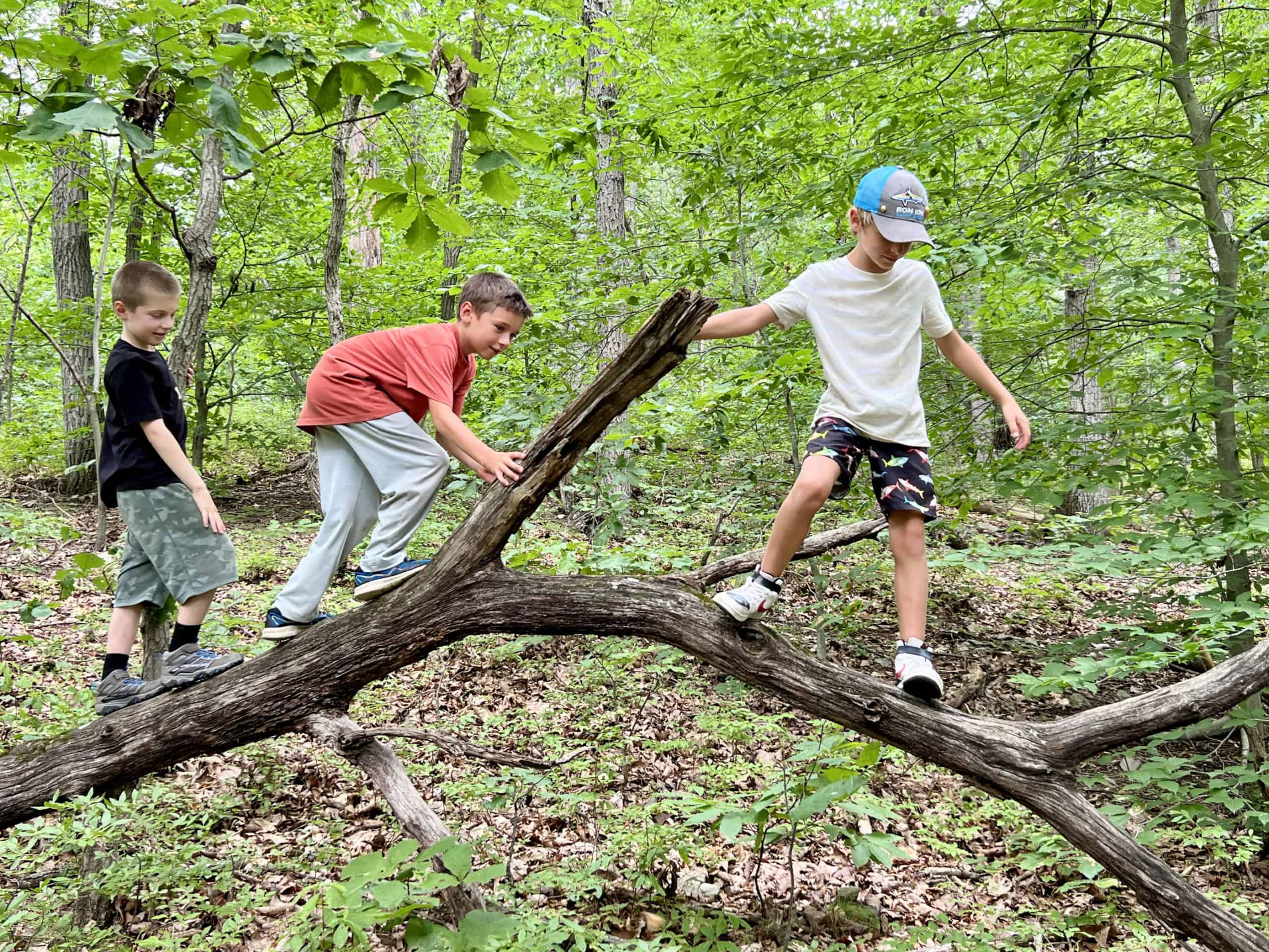 Boys playing on a fallen log