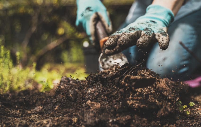 Close up of a gardener's gloved hands in the dirt.