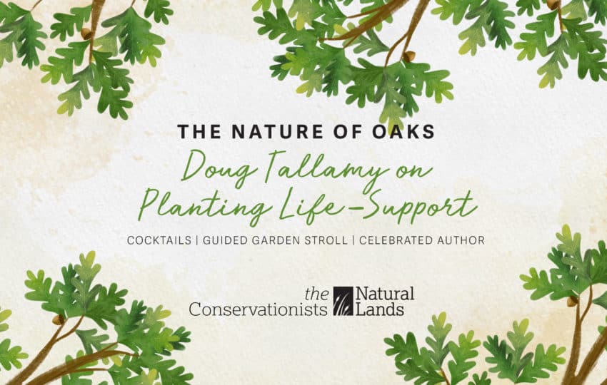 Graphic for The Nature of Oaks event
