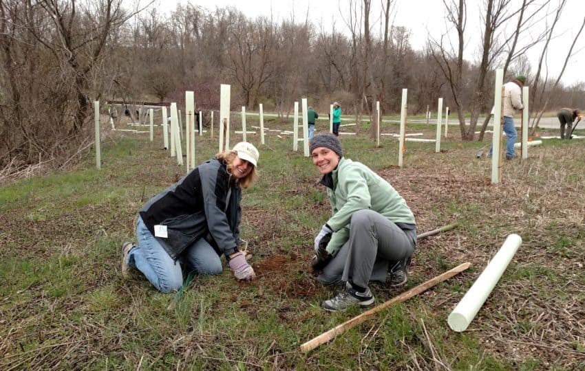 Two people smiling at the camera while planting trees at Stroud Preserve, a tree tube beside them.