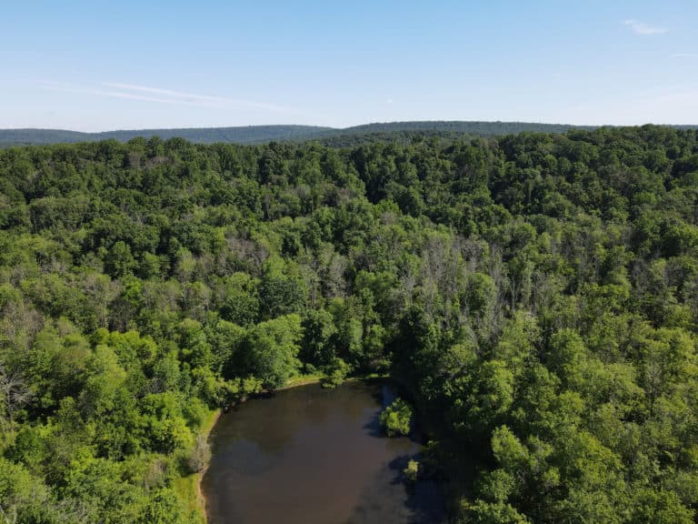 Aerial view of pond and forest at Crow's Nest Preserve