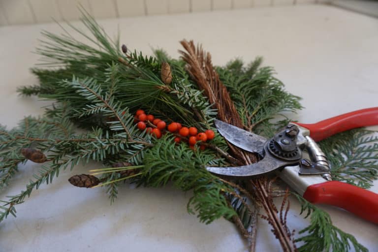 A pair of pruners with a bright red handle half-open resting on top of evergreen boughs and holly for wreath making workshop.