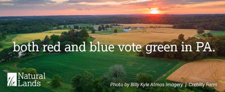 A graphic of a landscape with the words red and blue vote green