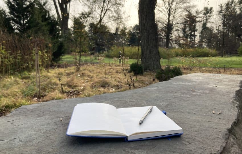 A pen rests on an open notebook resting on a stone wall that looks out into an autumnal garden, a tall tree in the foreground.