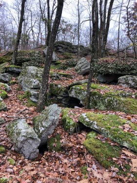 A rocky outcropping covered with moss and fallen leaves. 