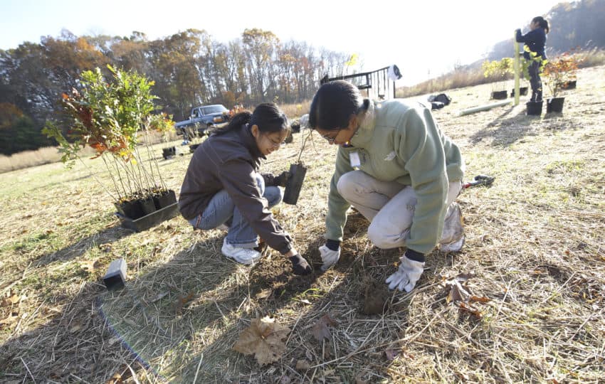 Two young volunteers wearing fleece vests dig a hole in the dirt.