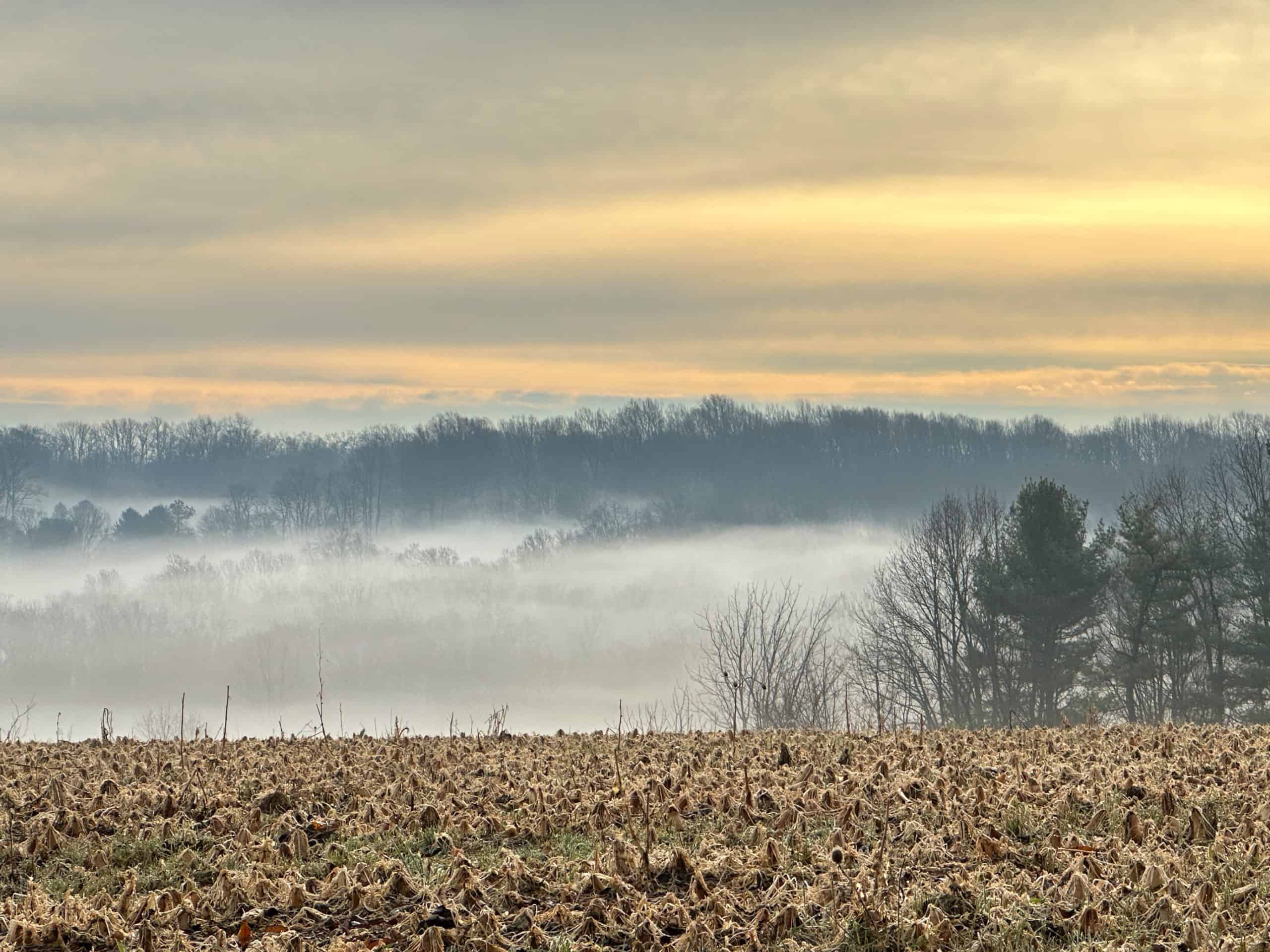 Hilltop view looking across farm field to forested valley shrouded in fog at Crow's Nest Preserve