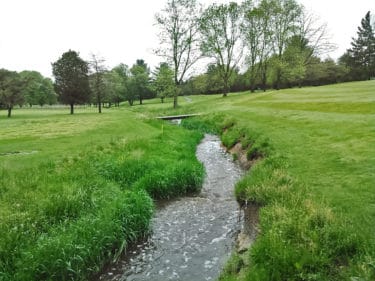 A stream runs through a field of green grass leading to a line of tall trees. 