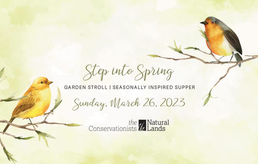 A illustration of two birds on branches with a graphic for the Step into Spring Garden Stroll