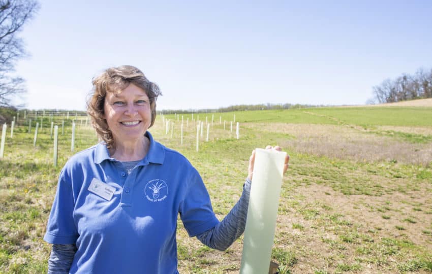 A volunteer in a blue Force of Nature(R) shirt smiles at the camera, holding a tree tube in a large open space.