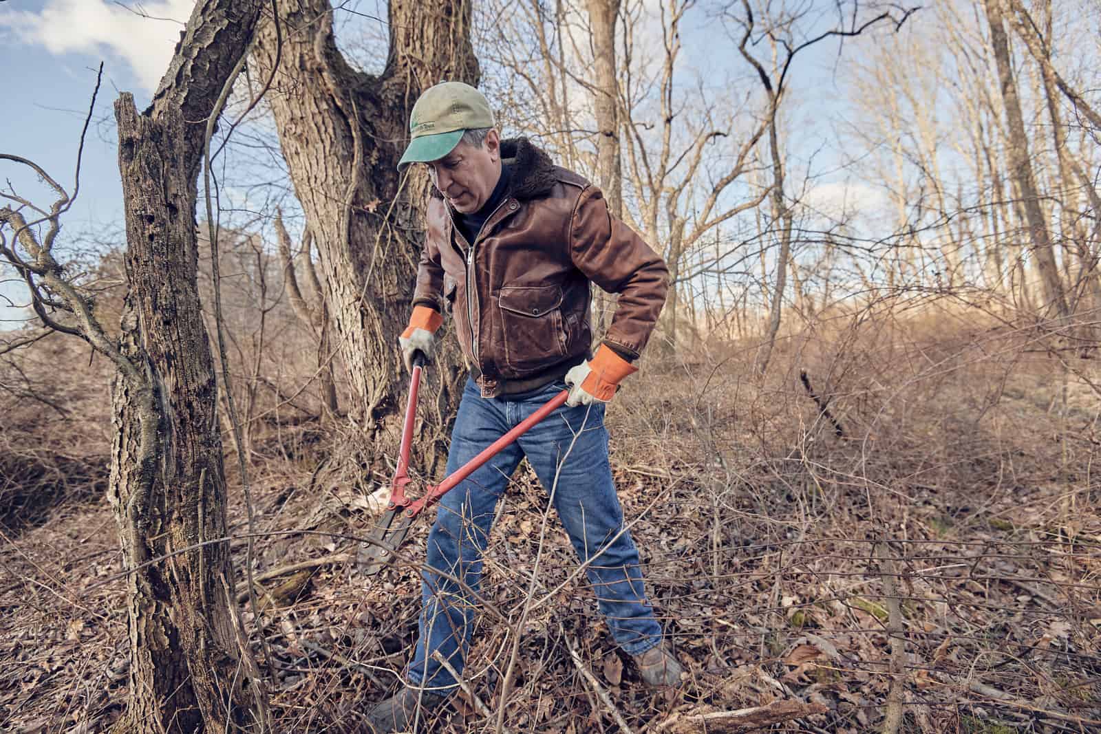 A volunteer holding long-handled loppers and removing invasive plants.