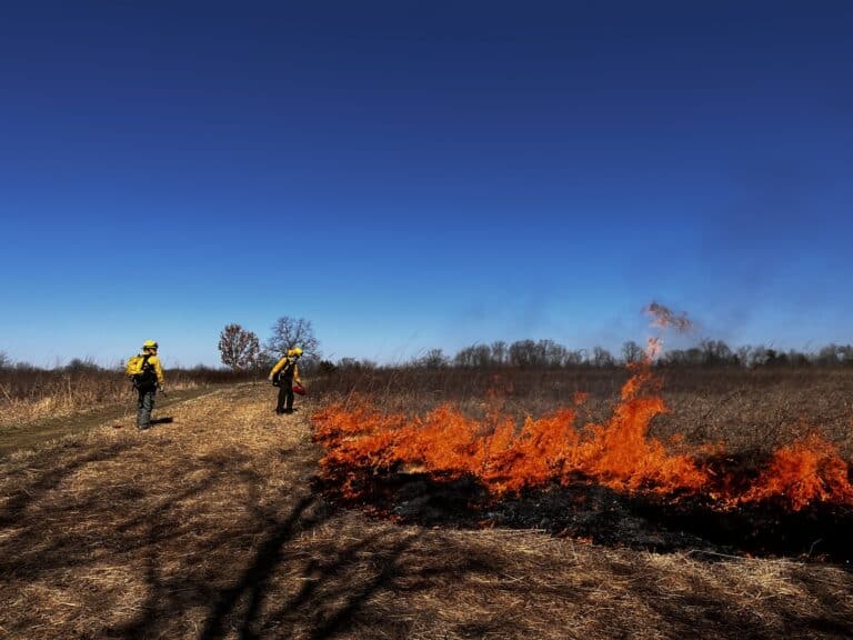 Two people in protective fire gear working in a natural landscape on a prescribed burn.