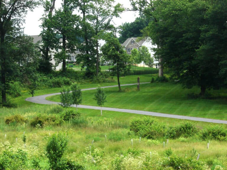 A paved trail winds through a meadow with dotted trees. There are new construction homes in the background.