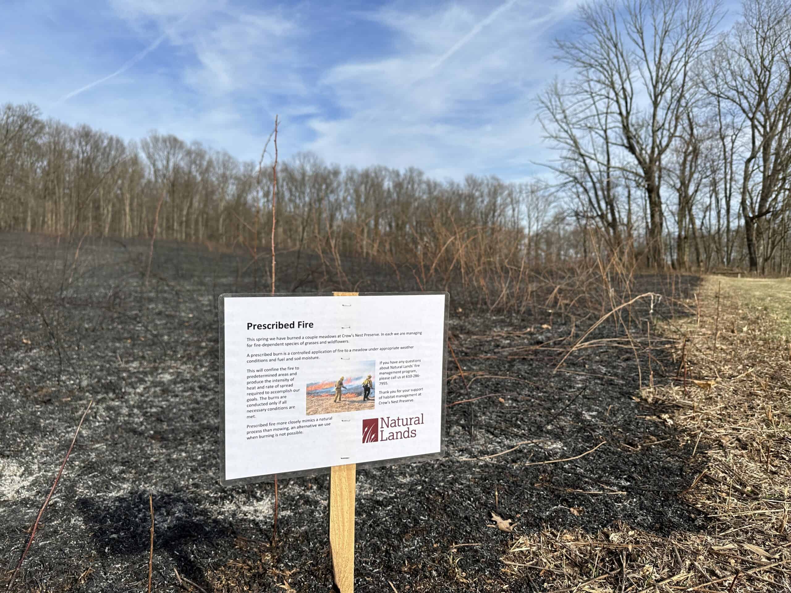 Interpretive sign about prescribed fire in front of and area where there was a recent prescribed fire at Crow's Nest Preserve 
