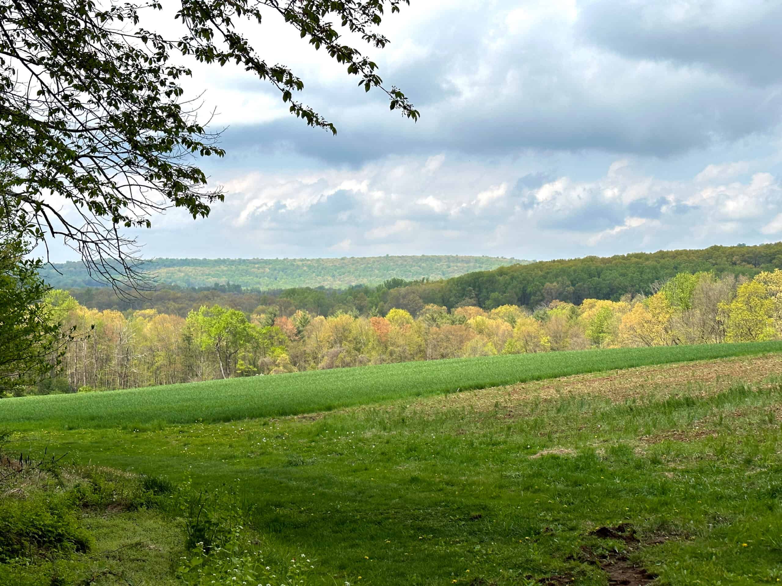 Vista of spring fields and forest at Crow's Nest Preserve