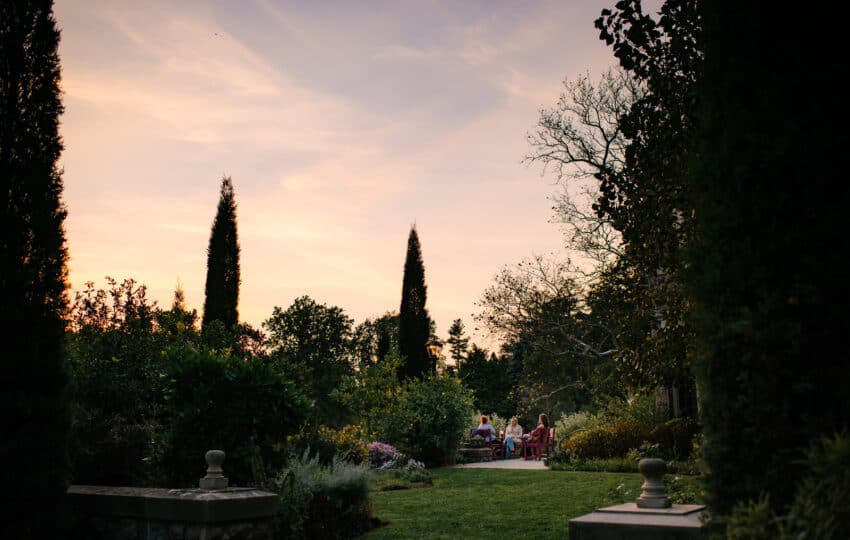 The silhouette of a garden at dusk.