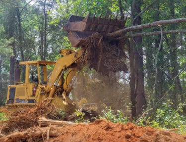 A yellow bulldozer rips a tree out of the soil in a forest.