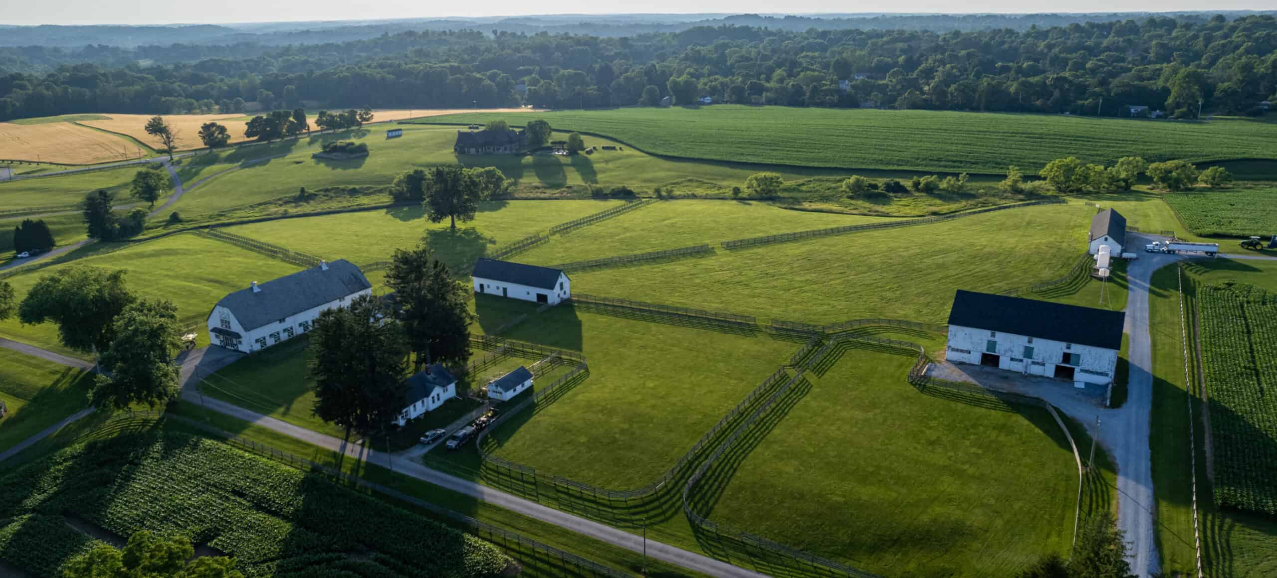 Drone photo of the green landscape of Crebilly Farm in Chester County.