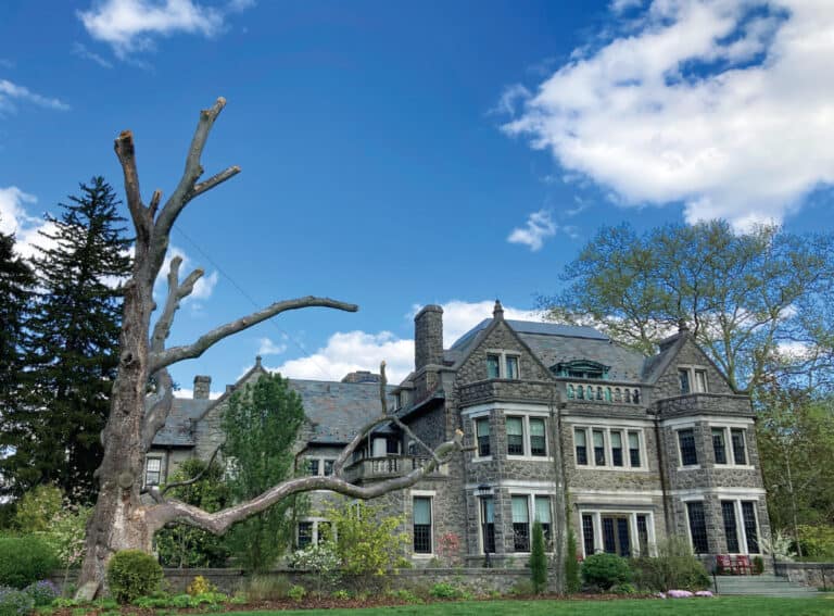 Under a blue sky with puffy white clouds is a large, ornate house and a tree snag