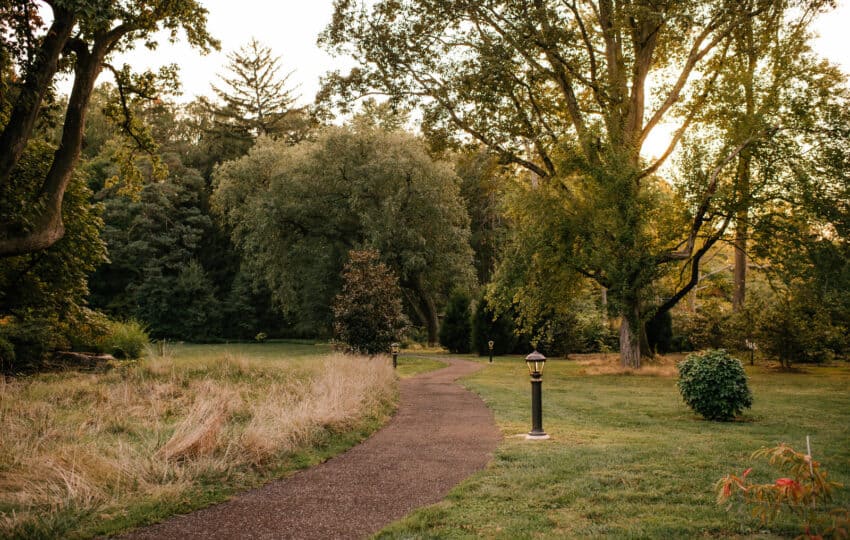 a long path through tended gardens, the sun setting in the backdrop of the trees.