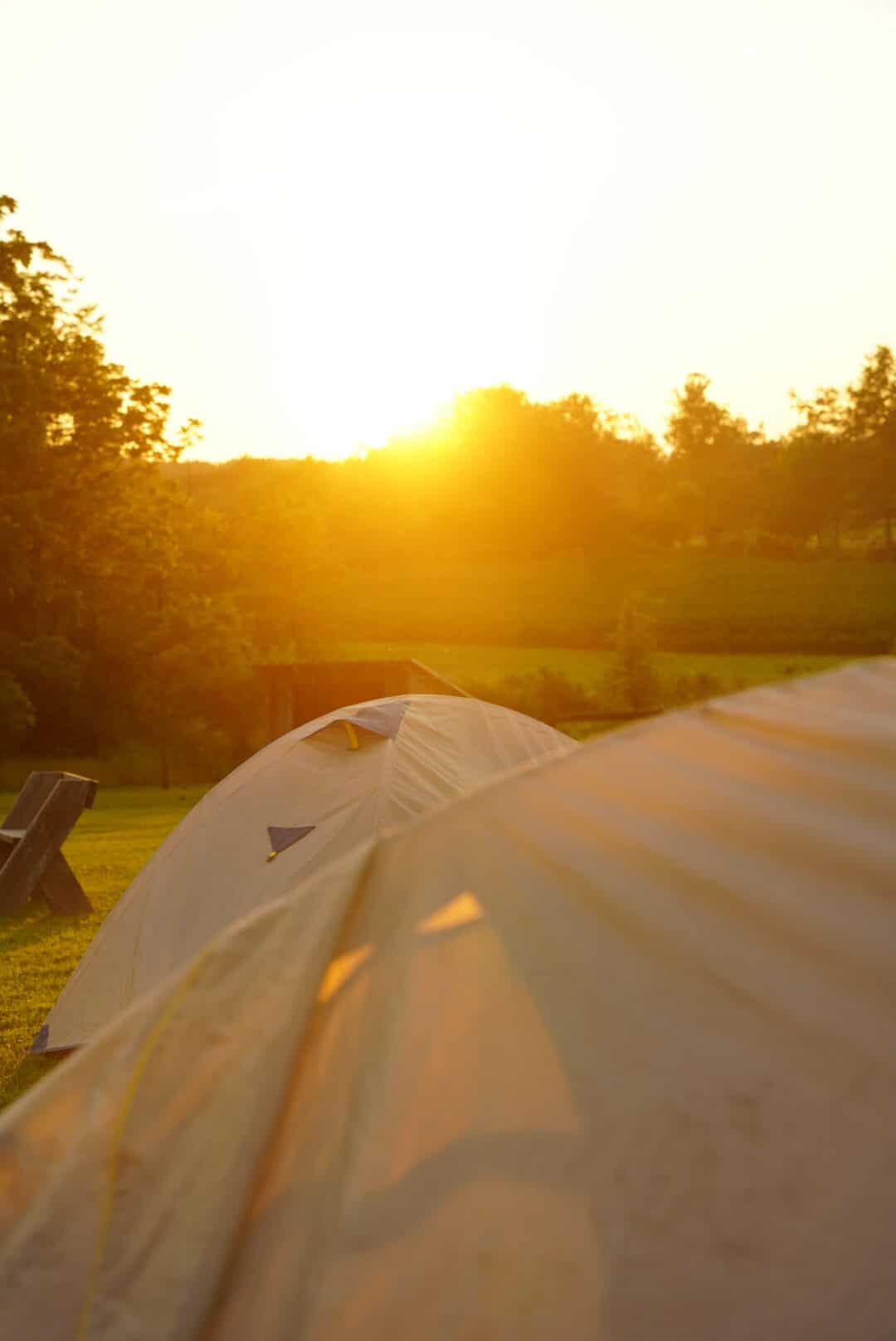 Sunset over dome tents in a field at Crow's Nest Preserve