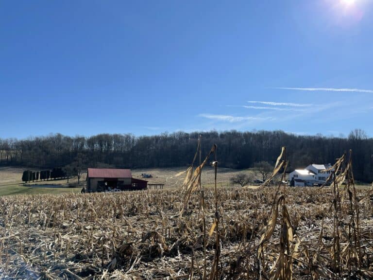 A winter landscape of Aguilar farm in East Nantmeal Township.