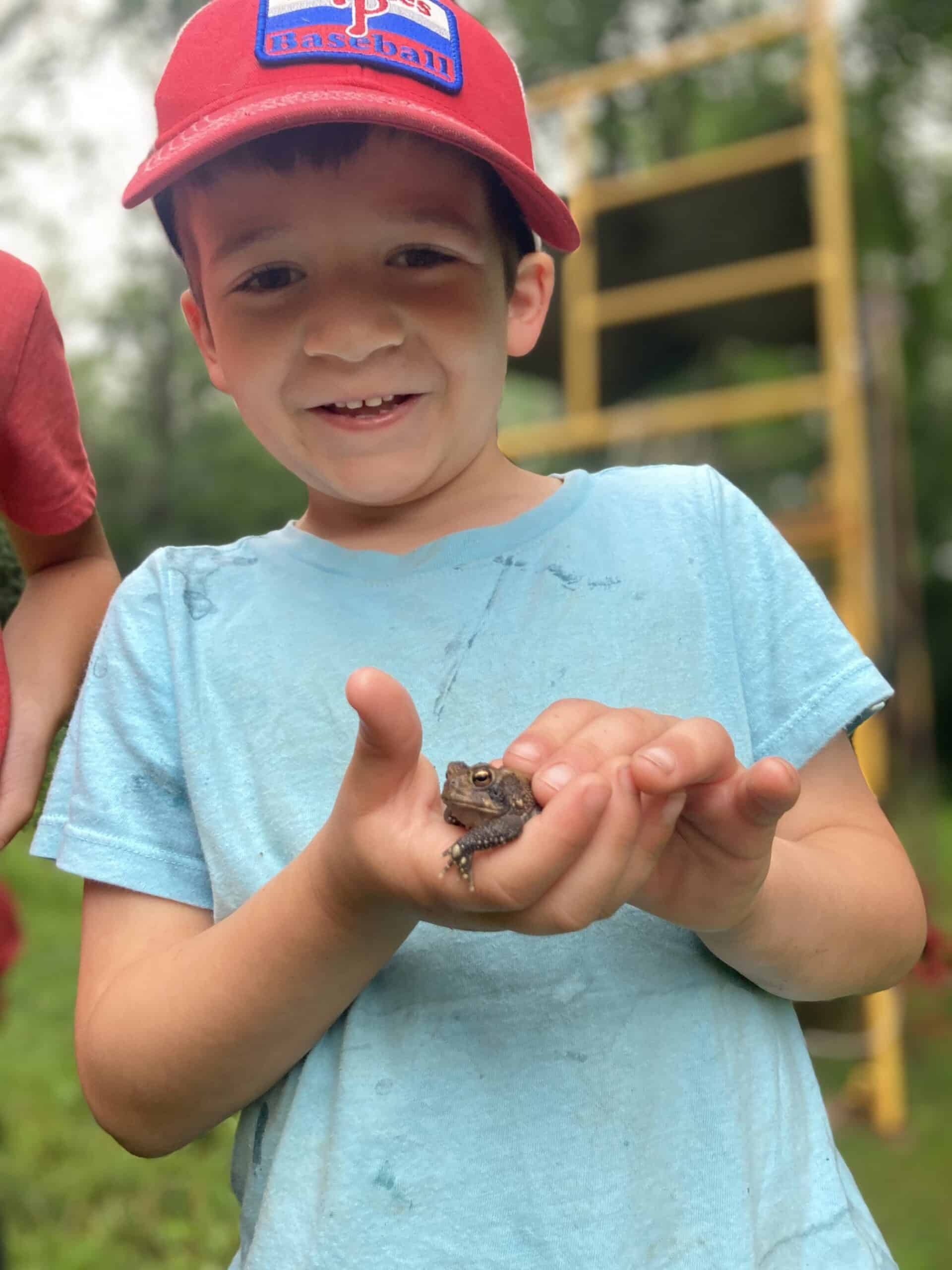 A child holding an American toad