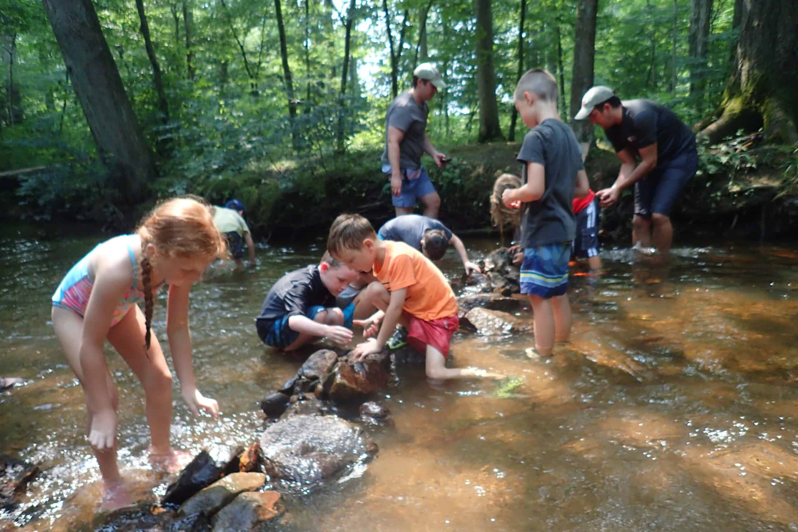 Kids building a stone dam in a creek