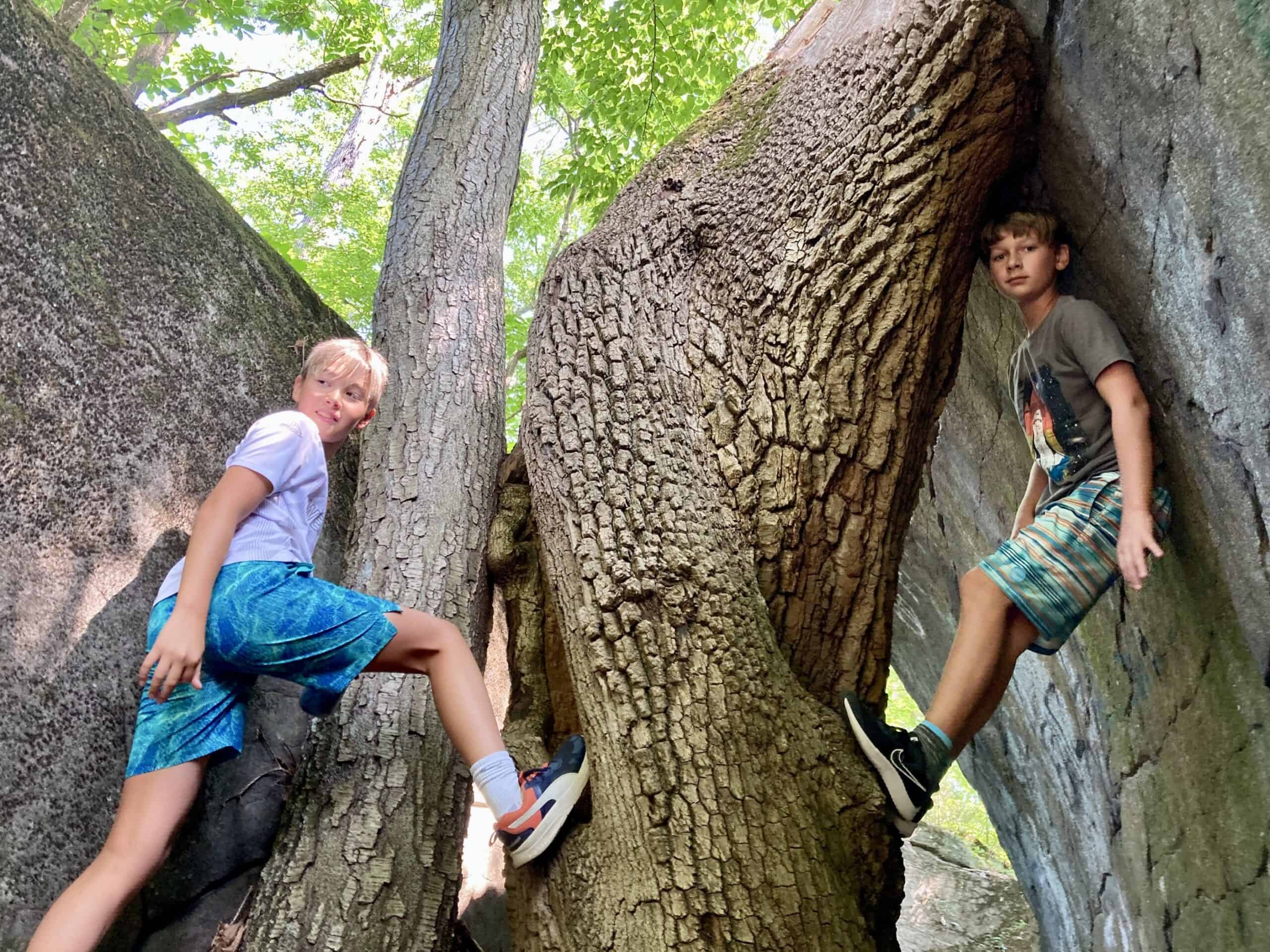 Camp kids posing between trees and boulders