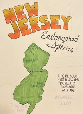 A hand-drawn map of New Jersey as part of Sammi Williams' coloring book.