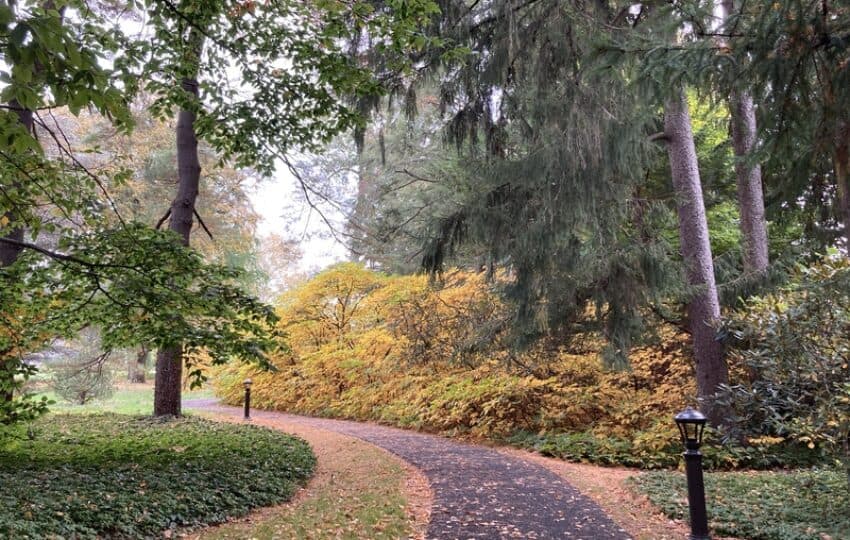 path through fall foliage