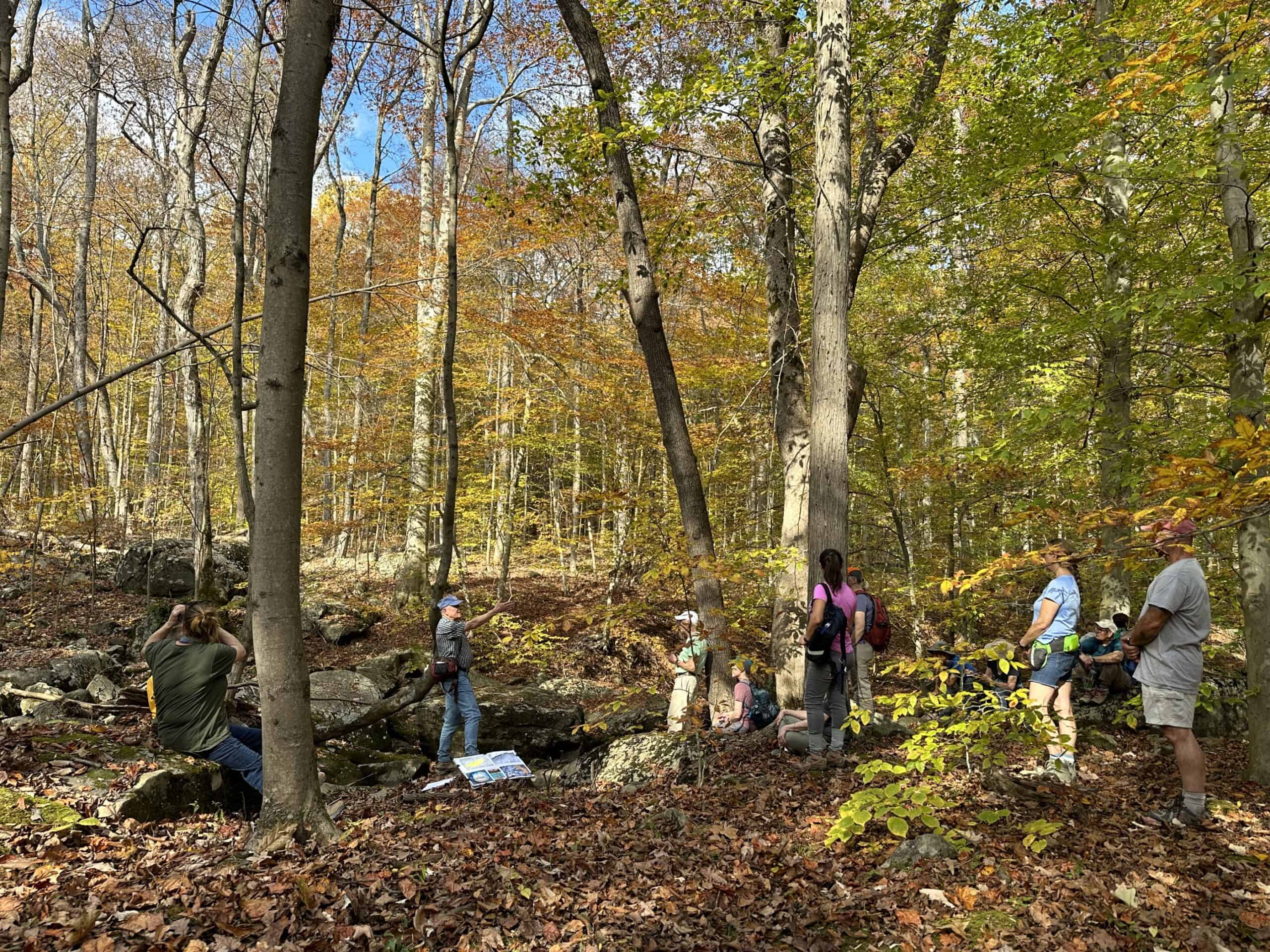 A group of people in the woods to learn about geology