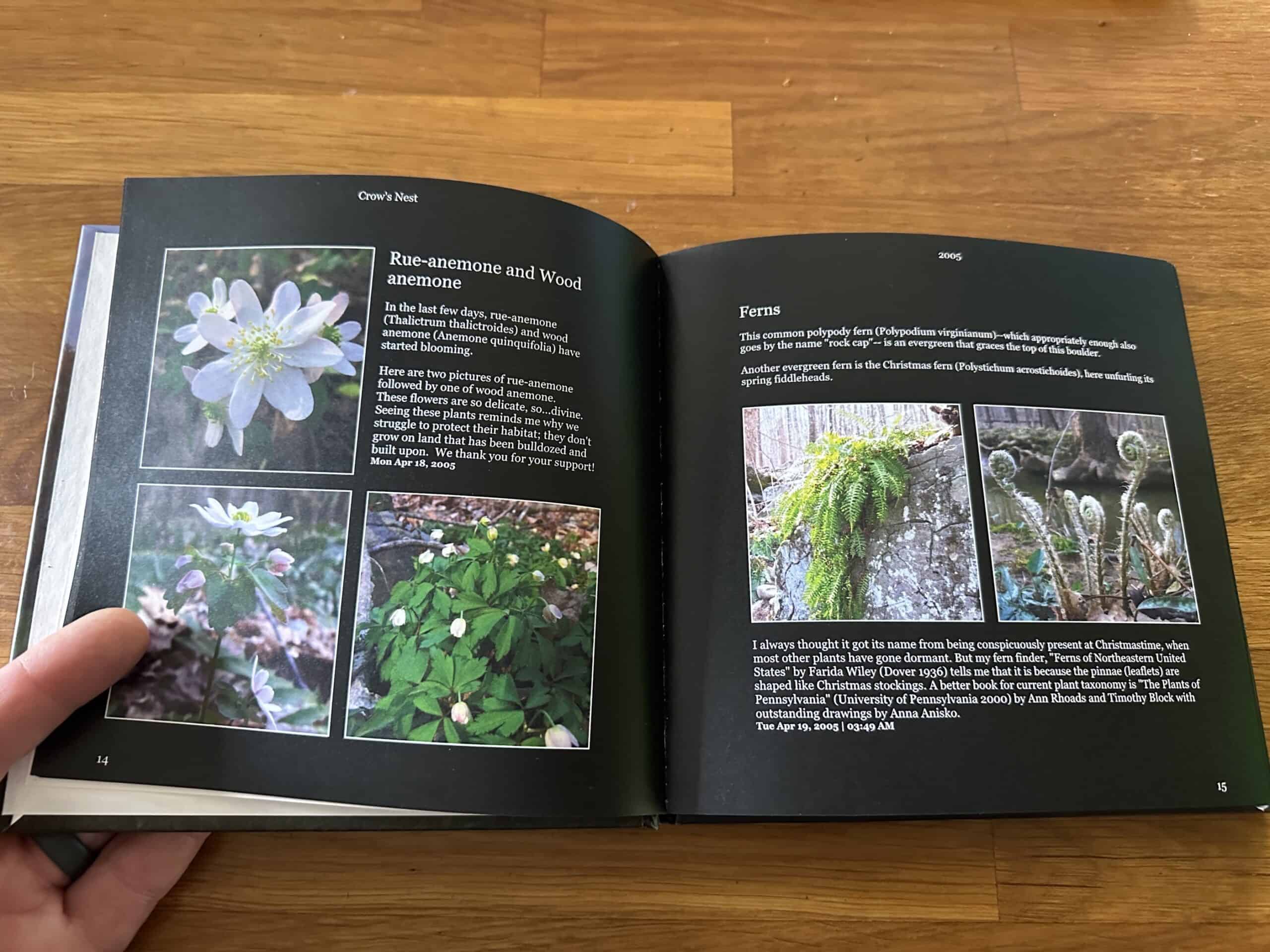 An open book showing entries from a weblog, text and pictures of flowers