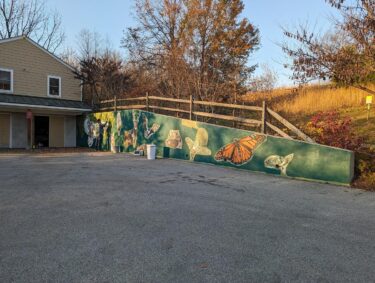 The mural in progress at Binky Lee Preserve with wildlife and blocks of green color.