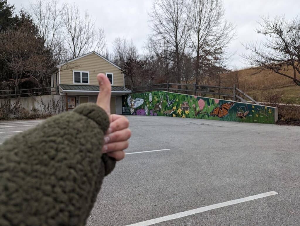 A hand giving a thumbs up sign in front of a painted outdoor mural in the parking lot at Binky Lee Preserve