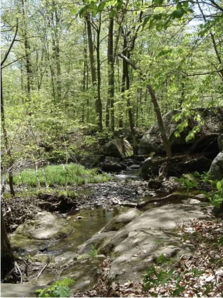 A stream tumbles over rocks and boulders in a shady forest.