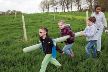 Three kids and a youth carry a tree tube.