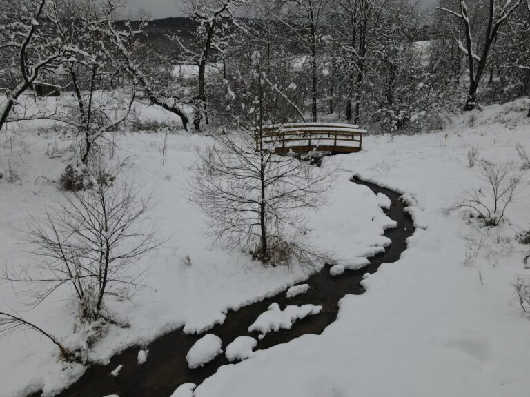 Winter view of a stream meandering through snow toward an arched footbridge and forest