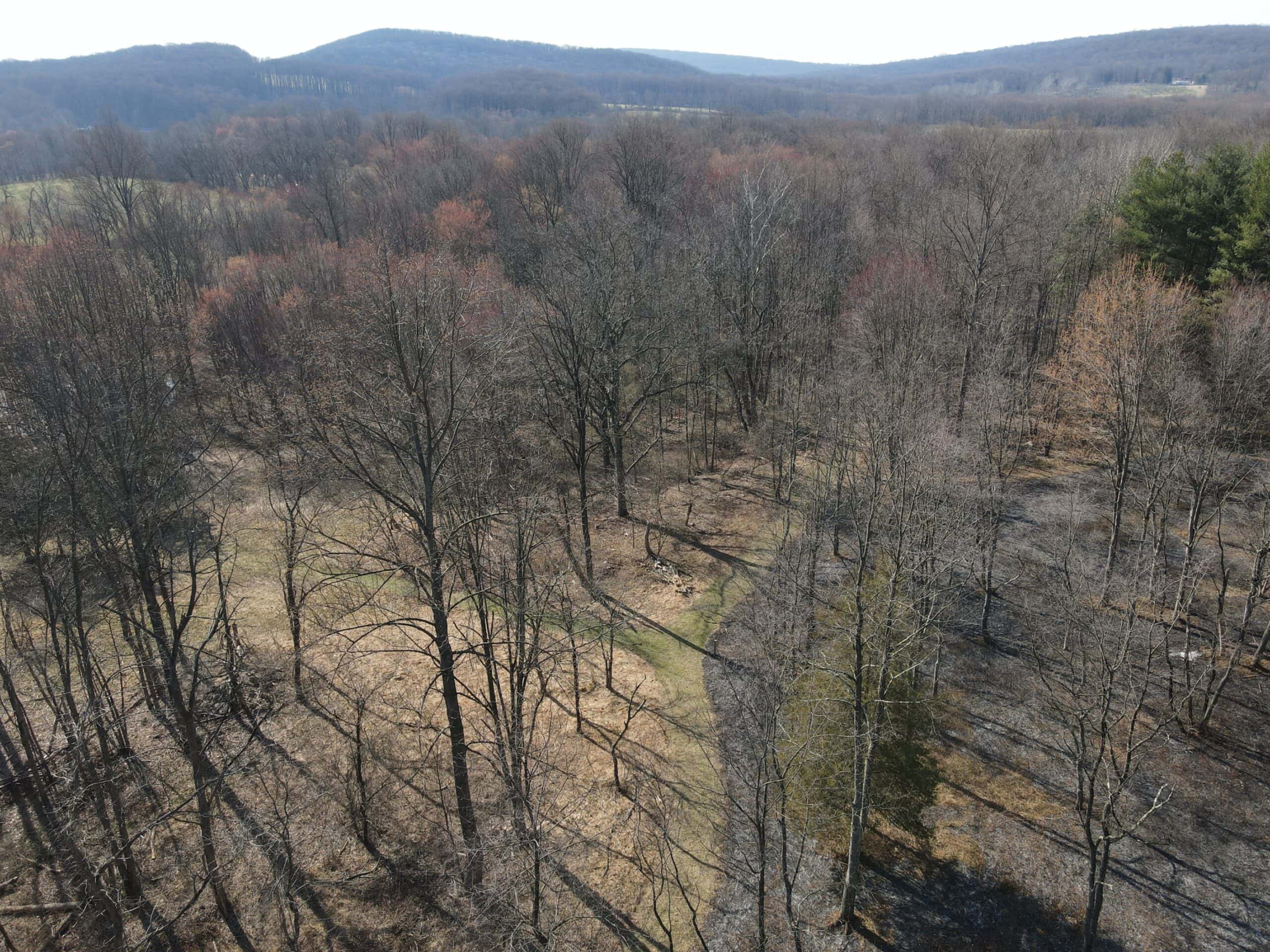 An aerial photo of a woodland opening managed with prescribed fire with hills in the background