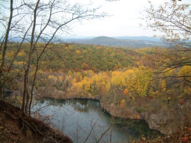 A view of a river through an autumn forest.