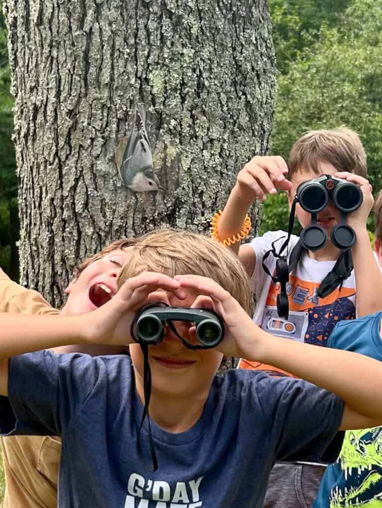 Summer campers posing with binoculars with a nuthatch creeping down the trunk of a tree behind them.