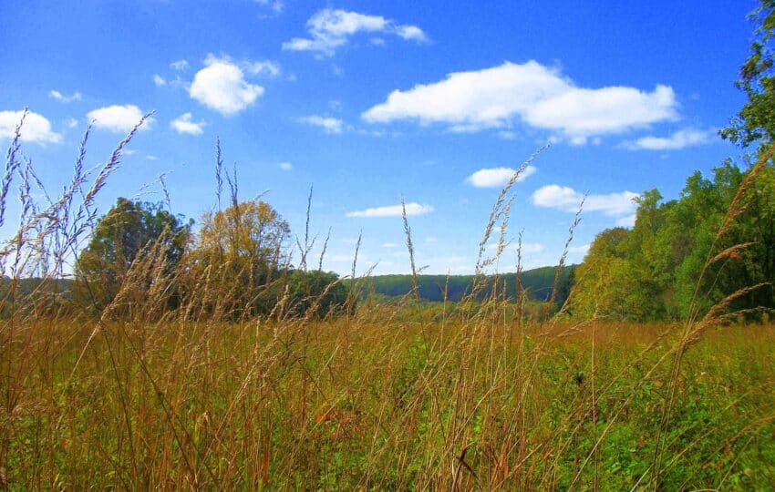 fall landscape with blue skies and clouds