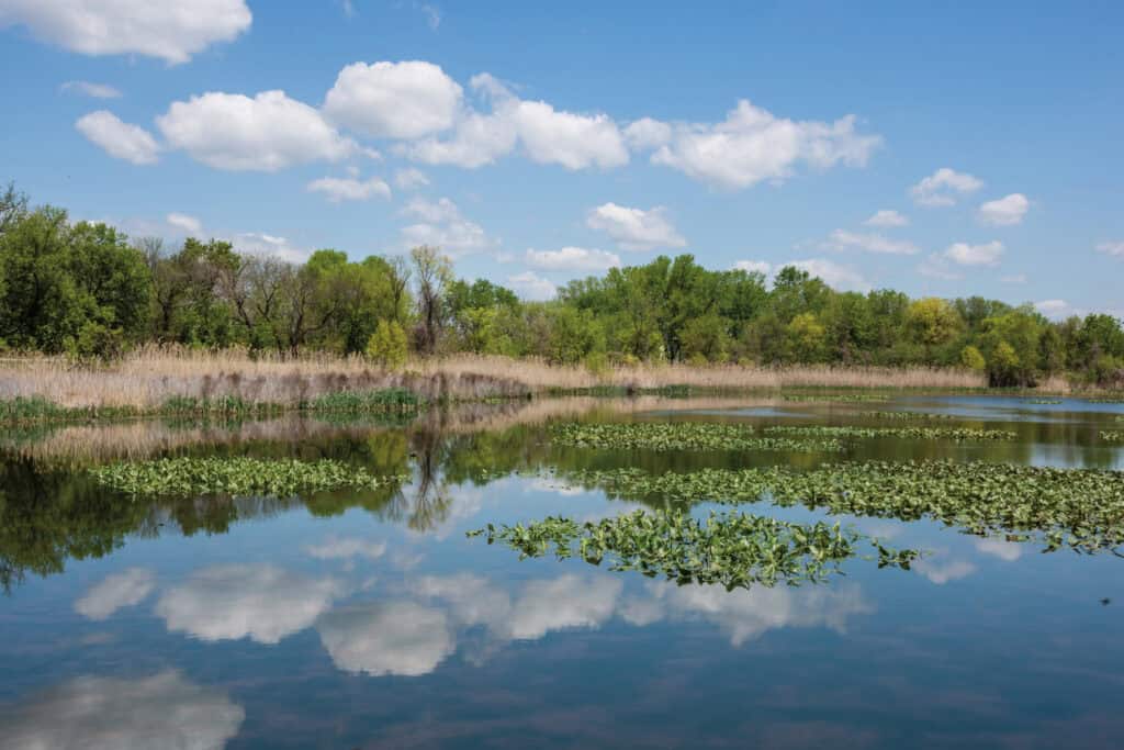 A wetland view on a nice Spring day at the John Heinz National Wildlife Refuge in Tinicum Pennsylvania.