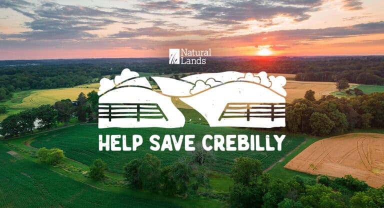 Help Save Crebilly logo over a sunset image of Crebilly Farm